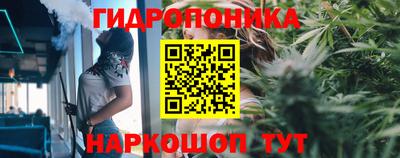 амф Северобайкальск